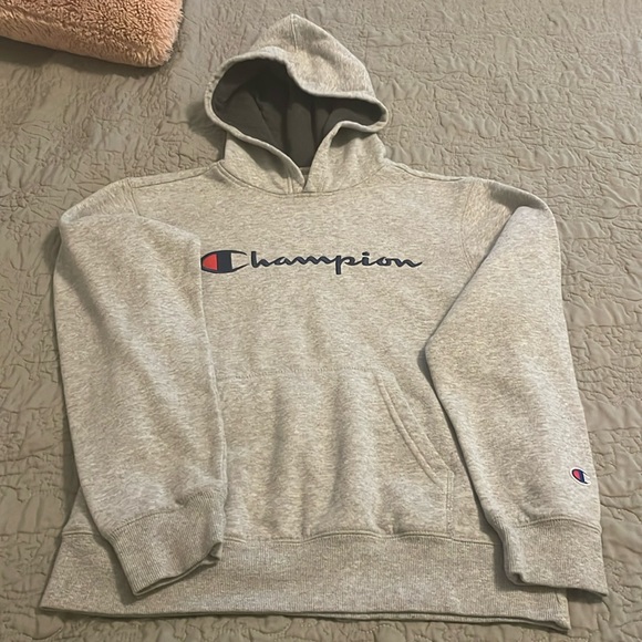 Gray Champion Hoodie - Picture 1 of 8